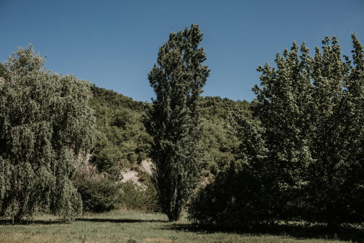 L'Anfora Country Club Bed & Breakfast Basciano Exterior photo